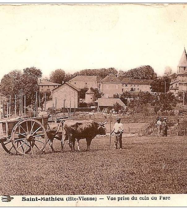 Archive travaux dans les champs de Saint-Mathieu