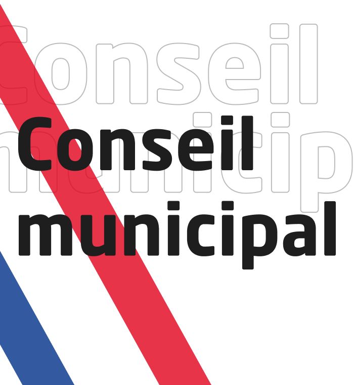 Illustration pour le conseil municipal