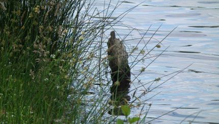 Lac de Saint-Mathieu